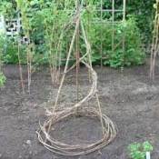 A trellis made out of grapevine