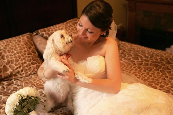 Lulu (white Maltese dog) with woman in wedding dress on bed.