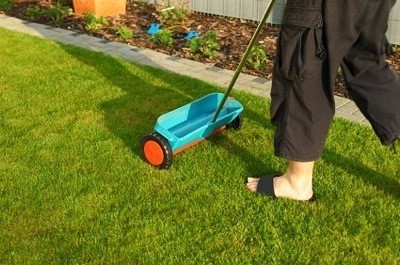 fertilizing lawn