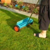 fertilizing lawn