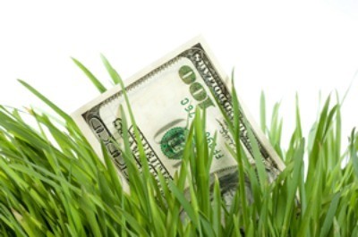 A hundred dollar bill between grass blades.