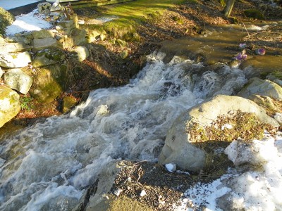 After the Rain, Appalachian Trail