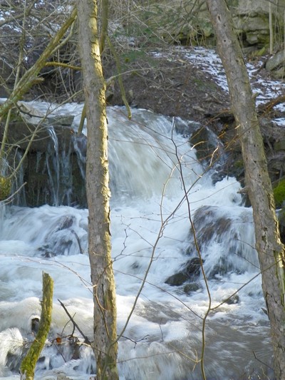 Appalachian Trail, Stream After Rain