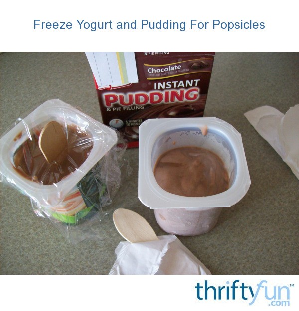 Freeze Yogurt and Pudding For Popsicles ThriftyFun