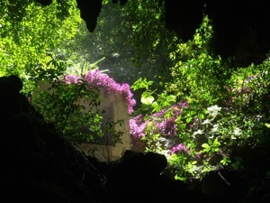 A cave in Camuy, Puerto Rico