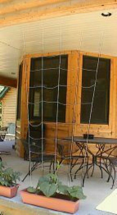 homemade garden trellis