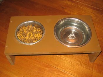 Elevated Dog Dishes