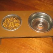 Elevated Dog Dishes