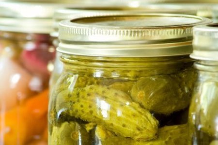 Pickling Cucumbers
