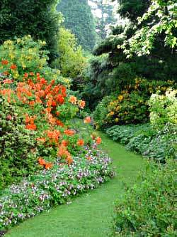 Beautiful Garden Path