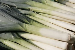 A bunch of leeks at the market.
