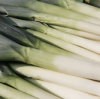 A bunch of leeks at the market.