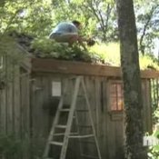 Making a Green Roof