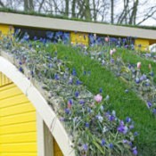 Green Roof