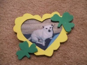 St. Patrick's Day Magnet Craft