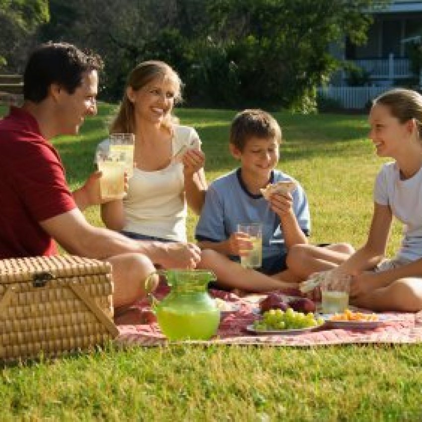 Picnic Tips and Tricks ThriftyFun
