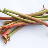 Rhubarb