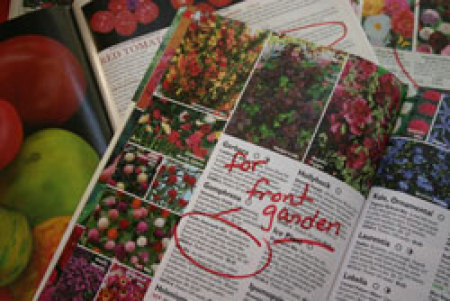 Colorful seed catalogs to be used in crafts.
