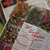 Colorful seed catalogs to be used in crafts.