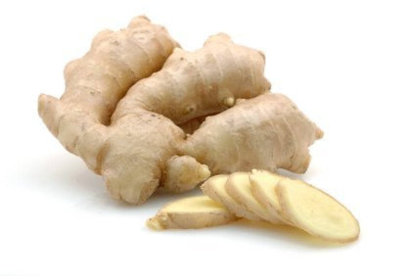 Making Ginger Beer | ThriftyFun