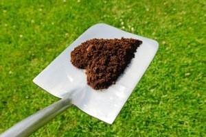heart shaped mulch on shovel
