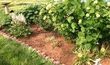 Choosing The Right Organic Mulch Thriftyfun