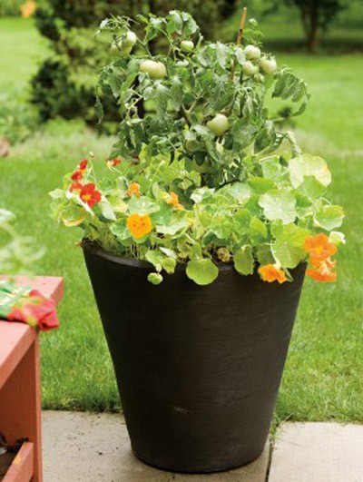 Large planter with flowers.