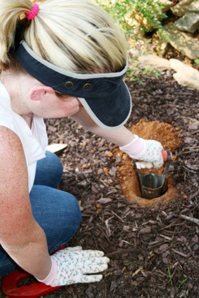 Planting bulbs.