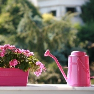 Watering can next to a pink planter box