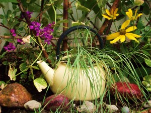 Tea pot planter.