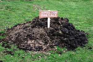 Horse manure.