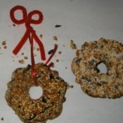 Homemade birdseed wreath.