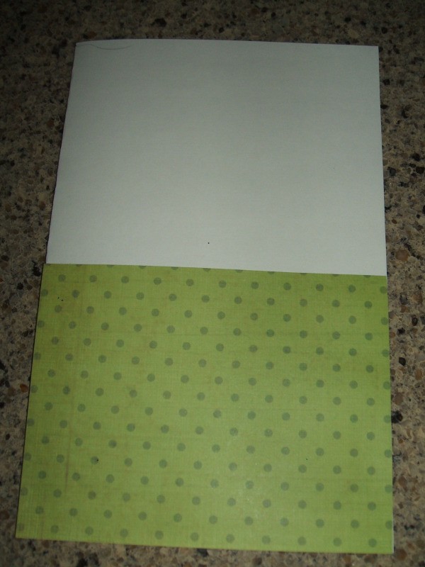 Green scrapbook paper on bottom half of card.
