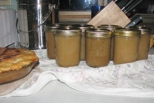 Canning Applesauce
