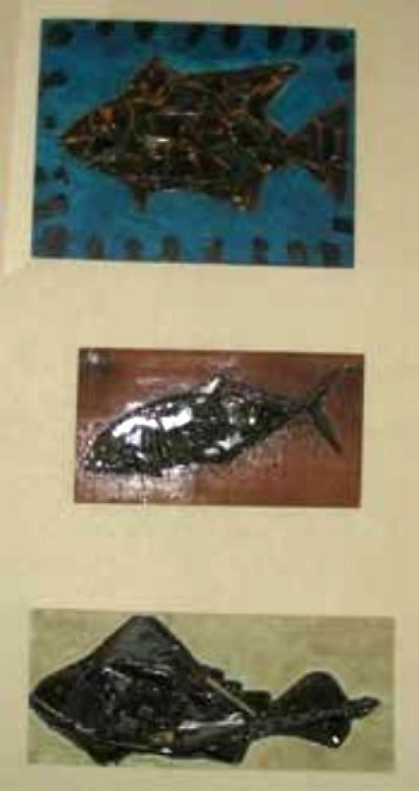 Three different fish collages.