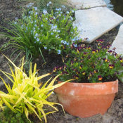 Reusing Broken Terra Cotta Planters