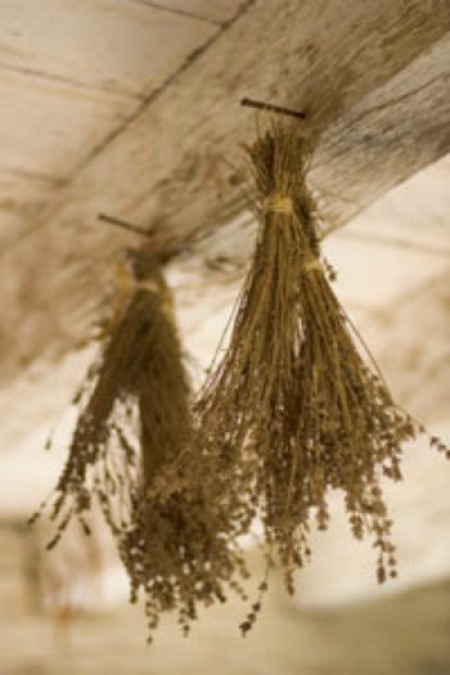 Drying and Storing Herbs