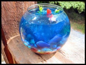 Fish bowl filled with Jello.
