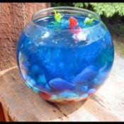 Fish bowl filled with Jello.