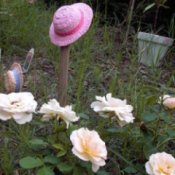 Painted straw hats in the garden.