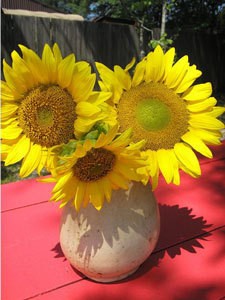 Sunflower Centerpiece