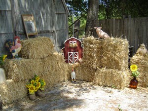 Country Wedding