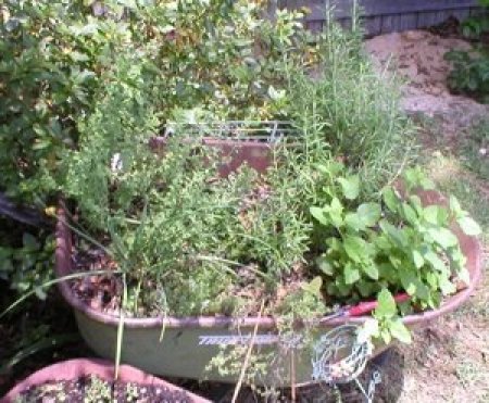 Wheelbarrow Planter