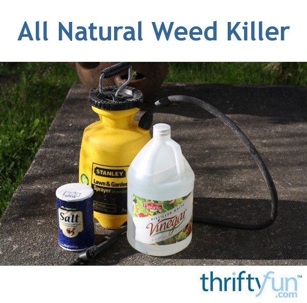 All Natural Weed Killer 