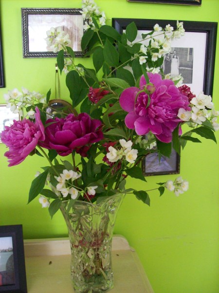 Old Fashioned Flower Arrangement of peonies, mock orange and weigela.