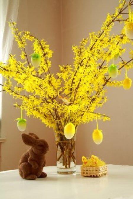 Blooming Spring Branches in a vase