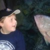 Fish following boy at the aquarium