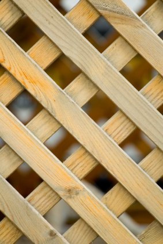 Uses for Lattice ThriftyFun