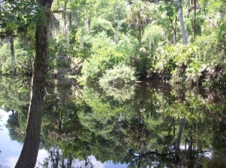 Hillsborough River Park