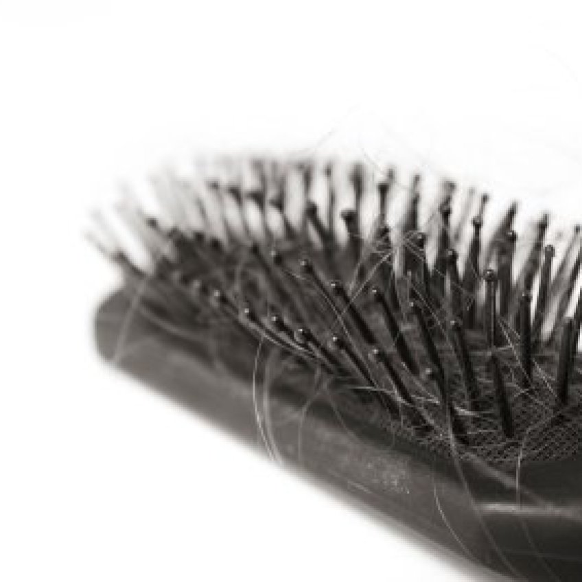 Removing Hair from Brushes ThriftyFun